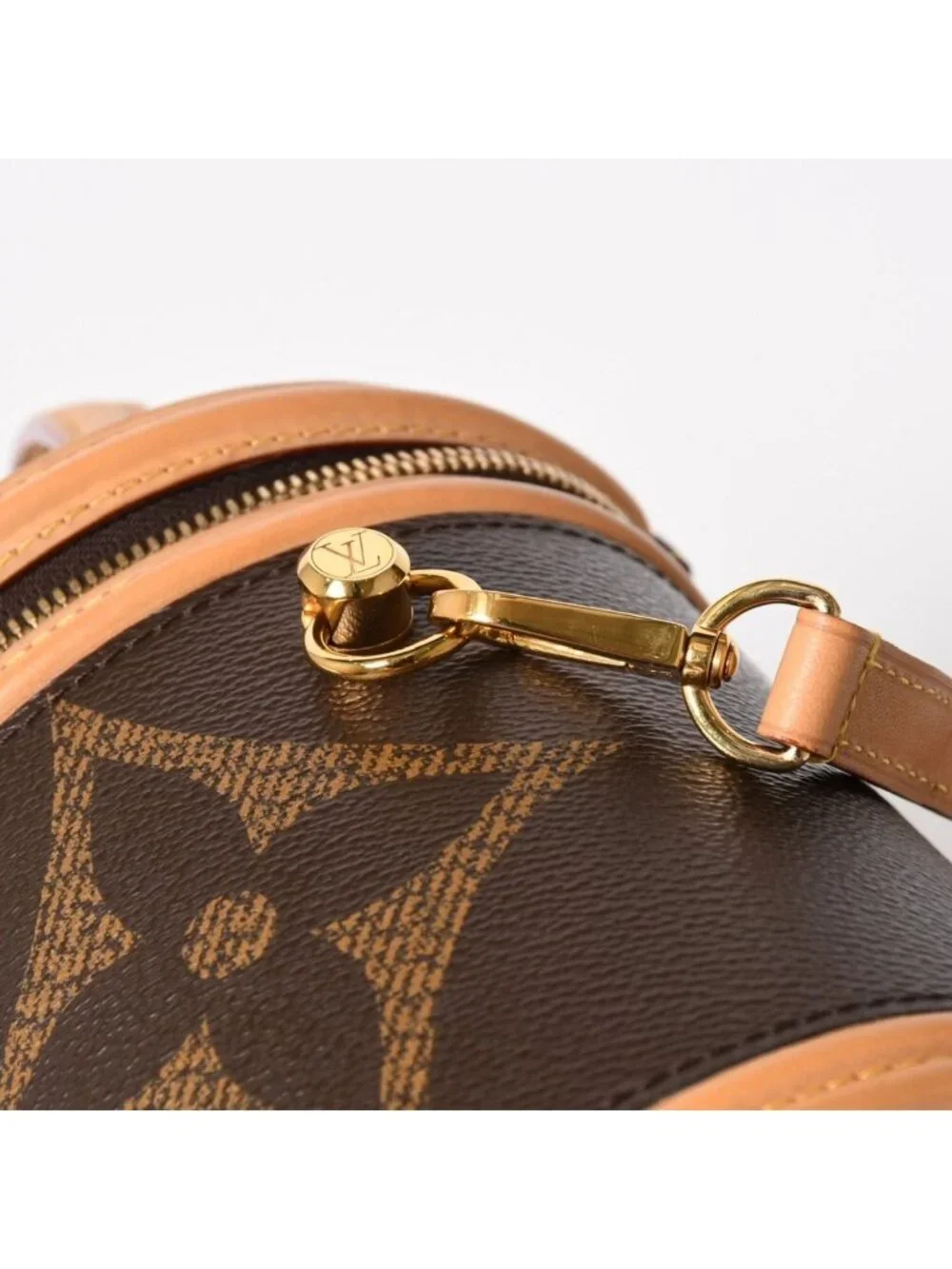 Louis Vuitton Cannes Vanity Monogram Giant Brown Reverse Shoulder Bag